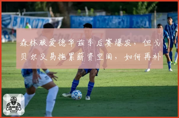 森林狼爱德华兹季后赛爆发，但戈贝尔交易拖累薪资空间，如何再补强？