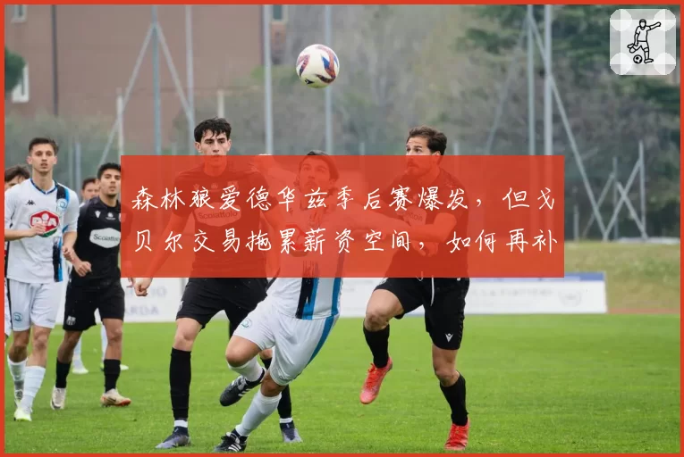 森林狼爱德华兹季后赛爆发，但戈贝尔交易拖累薪资空间，如何再补强？