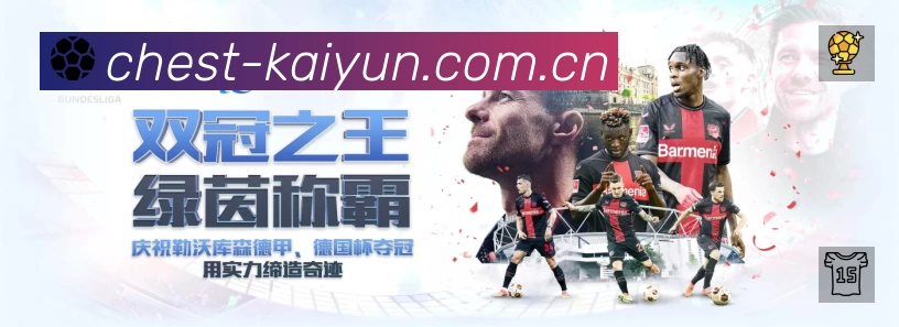 开云站内搜索增强